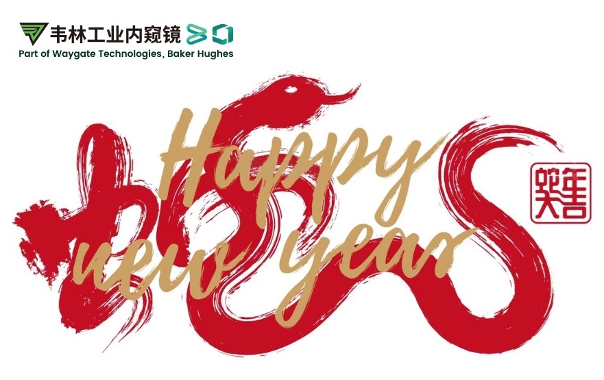 韋林公司祝您：蛇年大吉,福滿乾坤！